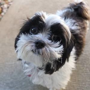 Meet your Posher, Marie